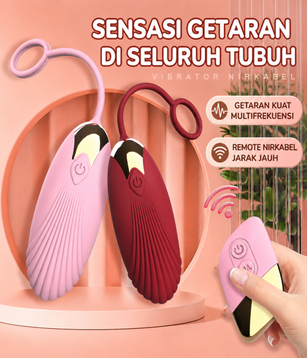Vibrator Telur Beiqu / 贝趣